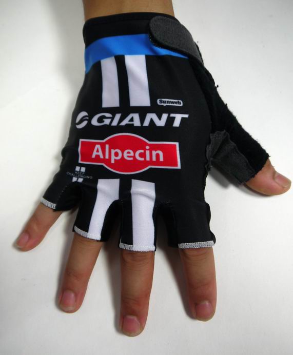 Handschoenen Giant 2015 zwart